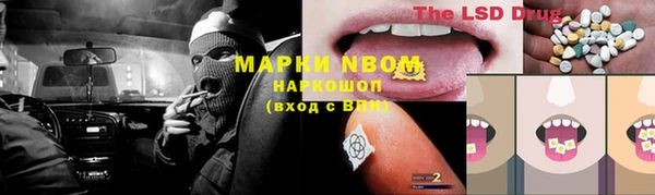 молекула духа Бородино