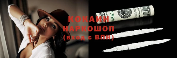 молекула духа Бородино