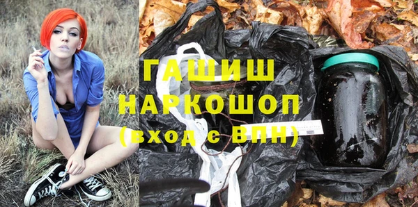 молекула духа Богородицк