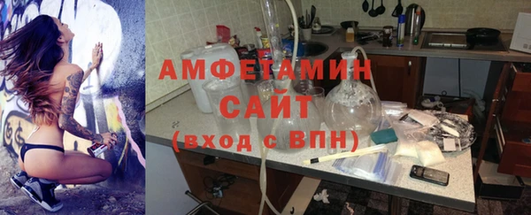 молекула духа Бородино