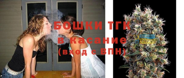 молекула духа Бородино