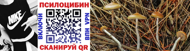Псилоцибиновые грибы Magic Shrooms  Егорьевск 